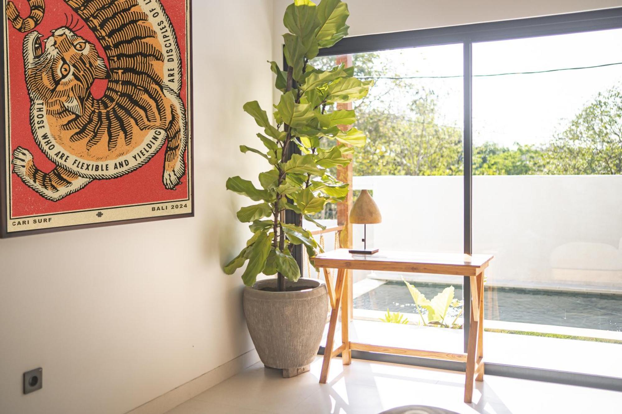 Cari Surf Camp & Studio'S Uluwatu  Room photo